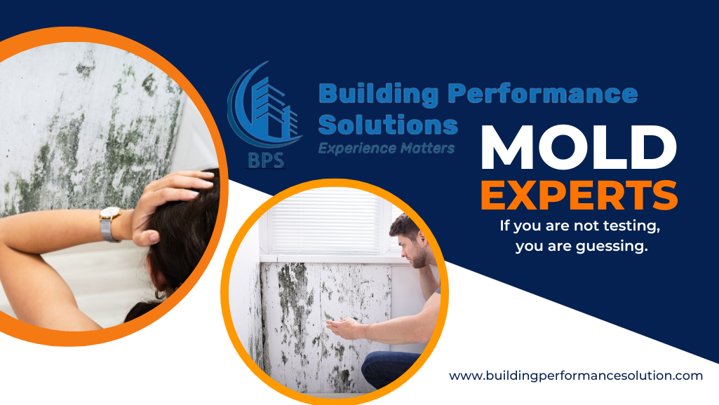 CAN I PAINT OVER MOLD? — Building Performance Solution